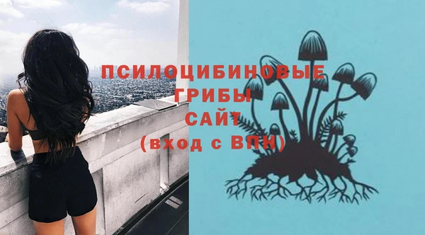 прущий лед Корсаков