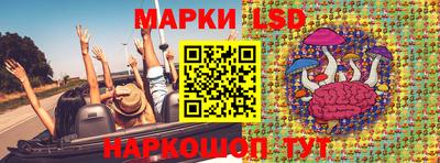 крисы Новокубанск