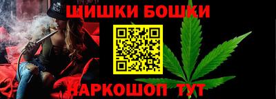 крисы Новокубанск