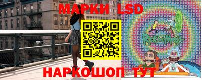 крисы Новокубанск