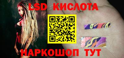 крисы Новокубанск
