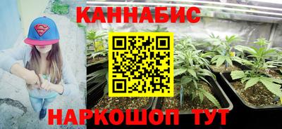 каннабис Новозыбков