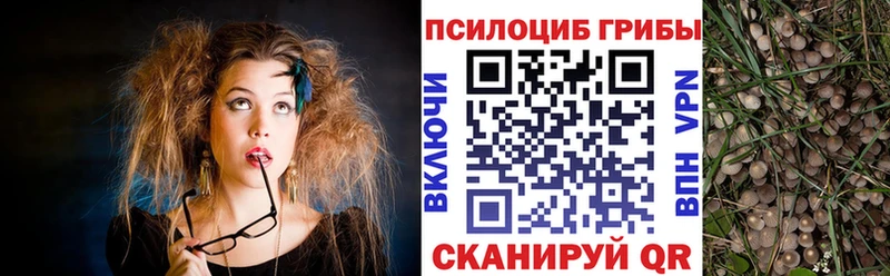даркнет сайт  Ялуторовск  Псилоцибиновые грибы Psilocybe 